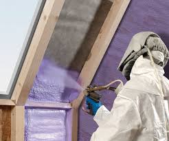 Best Thermal Imaging for Insulation Gaps  in La Paloma, TX