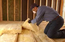 Best Eco-Friendly or Green Insulation Solutions  in La Paloma, TX